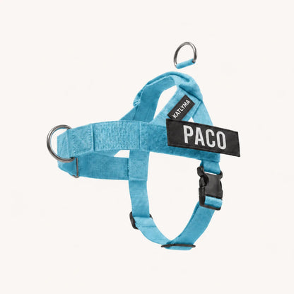 Modovita Walk – Pettorina Anti-Tiro