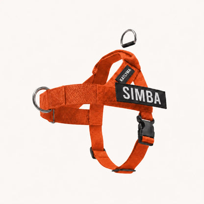 Modovita Walk – Pettorina Anti-Tiro
