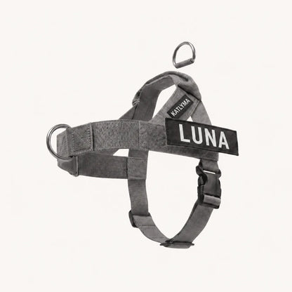 Modovita Walk – Pettorina Anti-Tiro