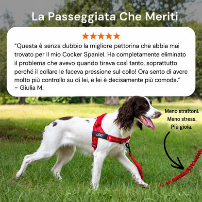 Modovita Walk – Pettorina Anti-Tiro