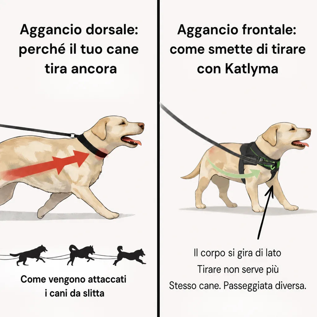 Modovita Walk – Pettorina Anti-Tiro