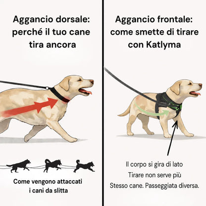 Modovita Walk – Pettorina Anti-Tiro