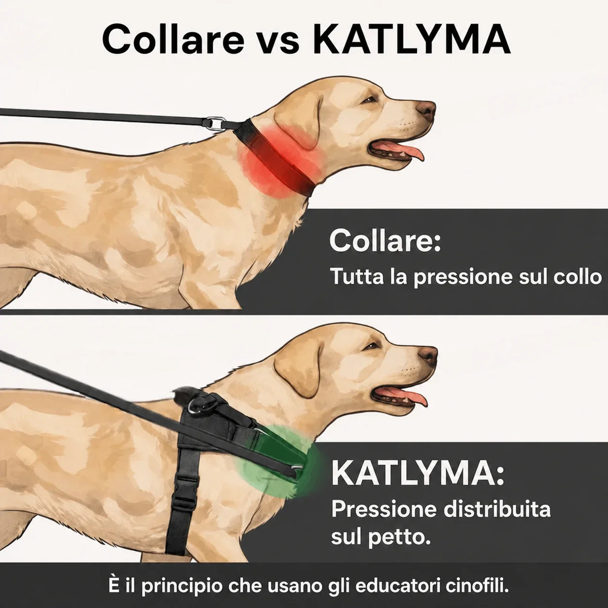 Modovita Walk – Pettorina Anti-Tiro