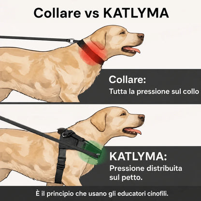 Modovita Walk – Pettorina Anti-Tiro