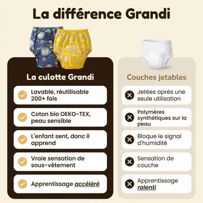 Culotte d'apprentissage