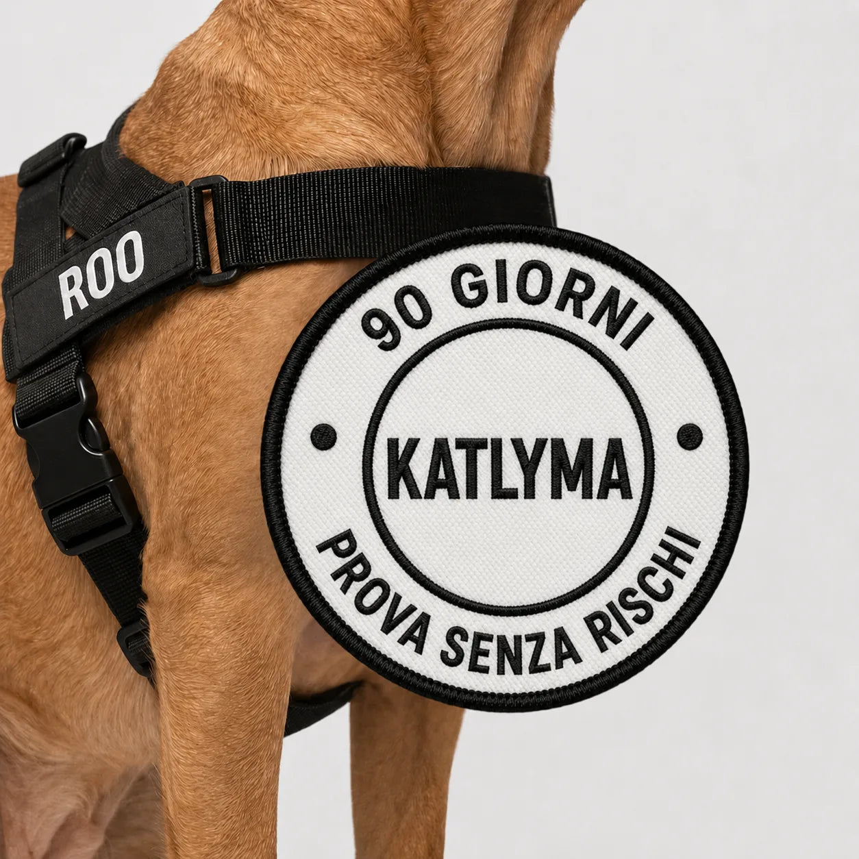 Modovita Walk – Pettorina Anti-Tiro
