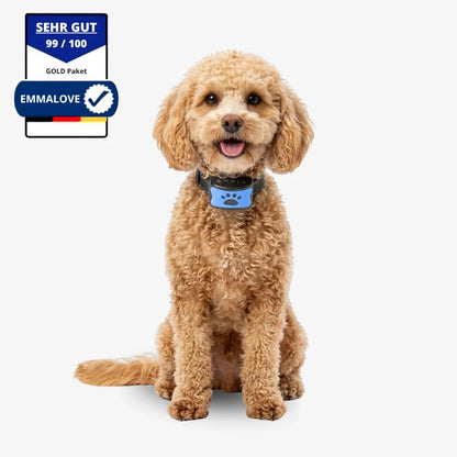 Collare Antiabbaio per Cani senza Scosse – Vibrazione e Suono