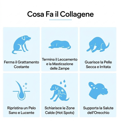 Collagene Liquido Premium Modovita per Cani
