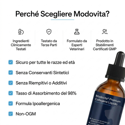 Collagene Liquido Premium Modovita per Cani
