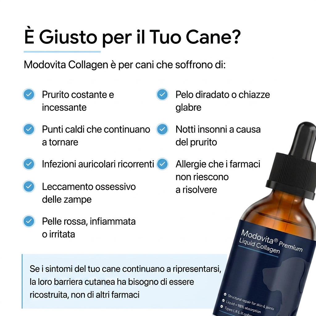 Collagene Liquido Premium Modovita per Cani