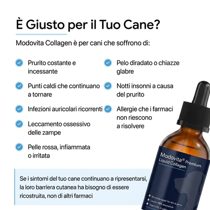 Collagene Liquido Premium Modovita per Cani